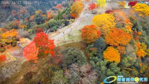 紅葉に包まれた 天空の城 岡城 -大分県-  20161117 vol.11 Aerial in drone the Oka castle/Okajou 4K Photo