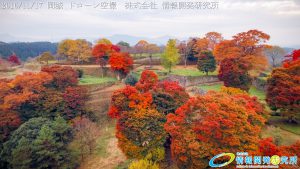 紅葉に包まれた 天空の城 岡城 -大分県-20161117 vol.5 Aerial in drone the Oka castle/Okajou 4K Photo