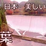 九州おすすめ紅葉スポット2018 日本一美しい白水ダムの紅葉 見頃の時期の名所やライトアップされる穴場も紹介！