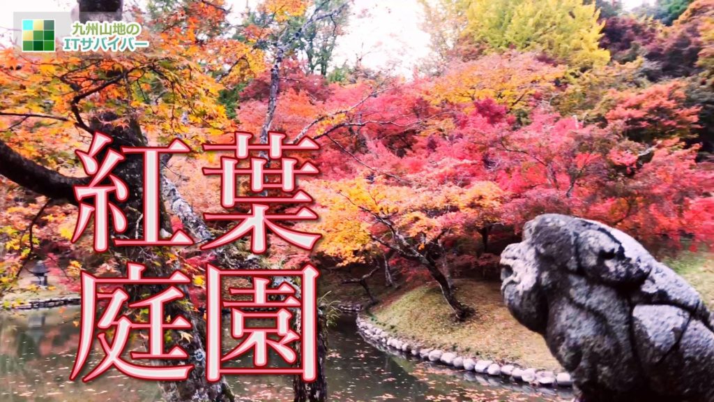 動画:美しく色づいた見頃の紅葉庭園を散策！おすすめ絶景ドローン映像4K 九州 ランキングにあまり入らない穴場